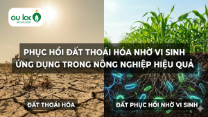 Anh-bia-phuc-hoi-dat-nho-vi-sinh