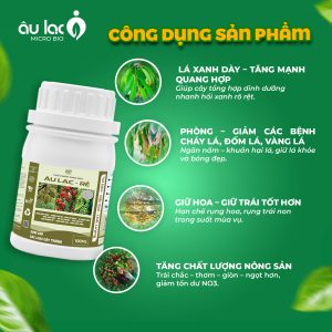 cong-dung-re-100ml
