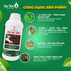 cong-dung-dat-500ml