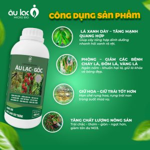 Cong-dung-goc-500ml