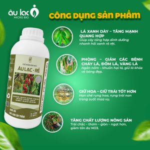 cong-dung-re-1000ml
